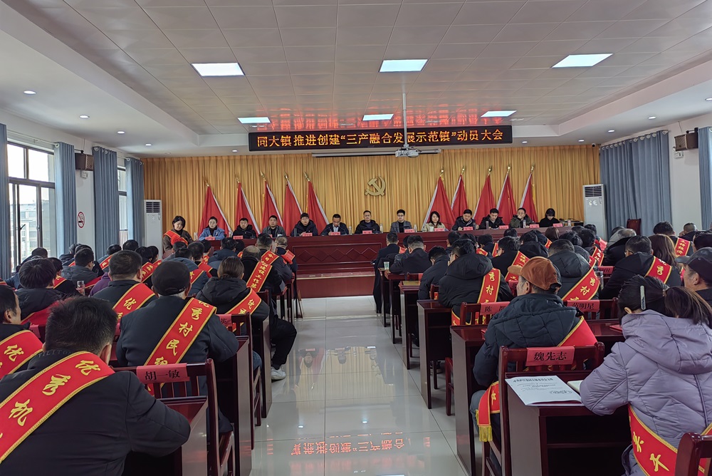 155510-167737.jpg 同大鎮(zhèn)動員大會.JPG